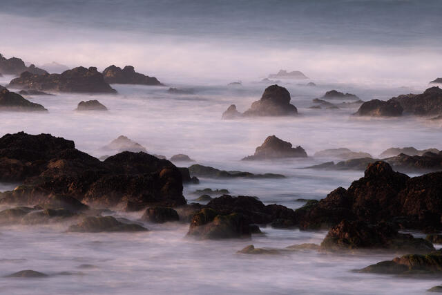 Dusky Ocean Motion