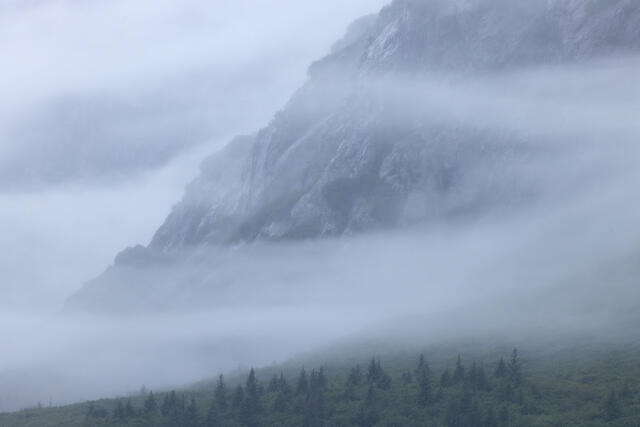 Enveloped