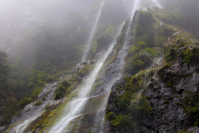 Ephemeral Shower