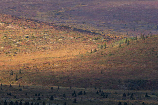 Fall Lines