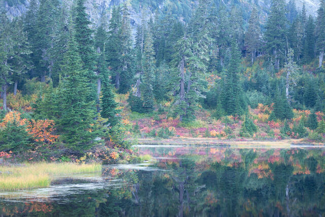 Fall Picture