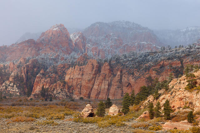 First Snow