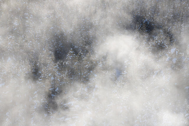 Fog Break