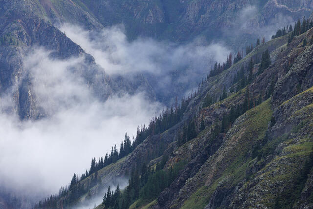 Fog Pockets