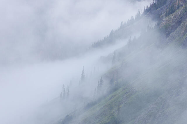 Fog Swept