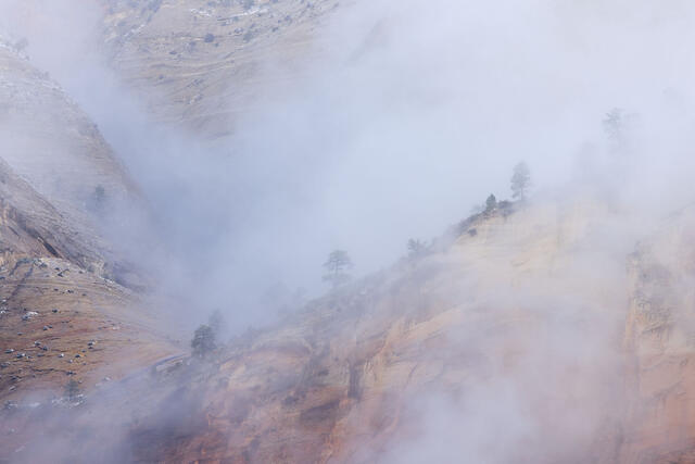 Fog Wall