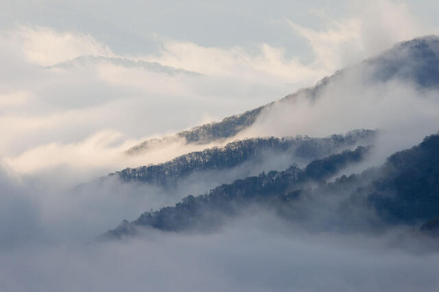 Foggy Mountain Top