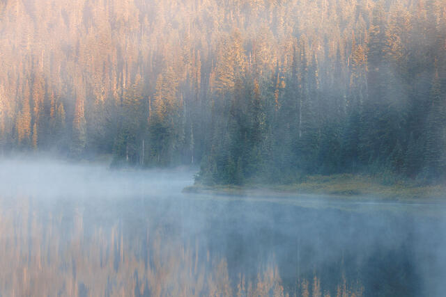 Foggy Sunlight Reflections