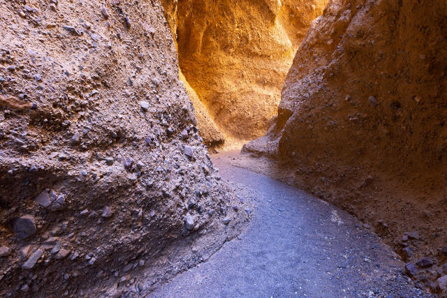 Follow the Gold