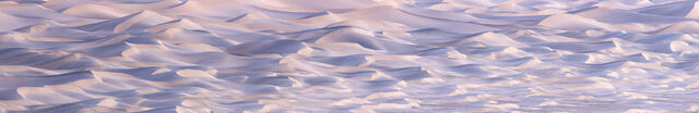 Forever Dunes