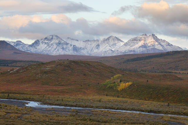 Fresh Autumn Snow