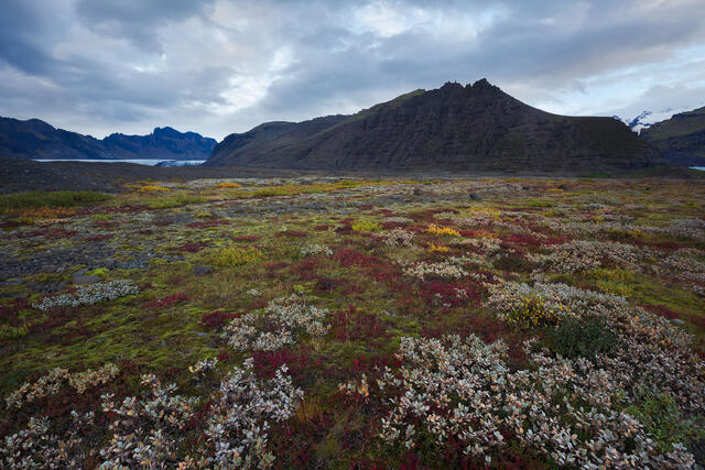 Glacial Autumn