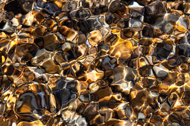 Golden Jewels