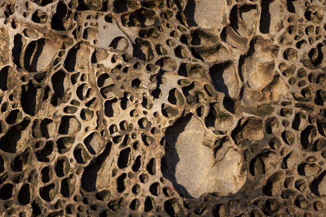 Holy Rock