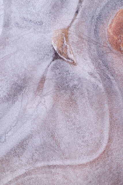 Ice Curves