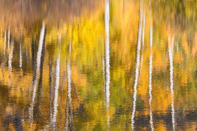 Impression Reflection