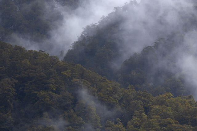 Intersecting Mists