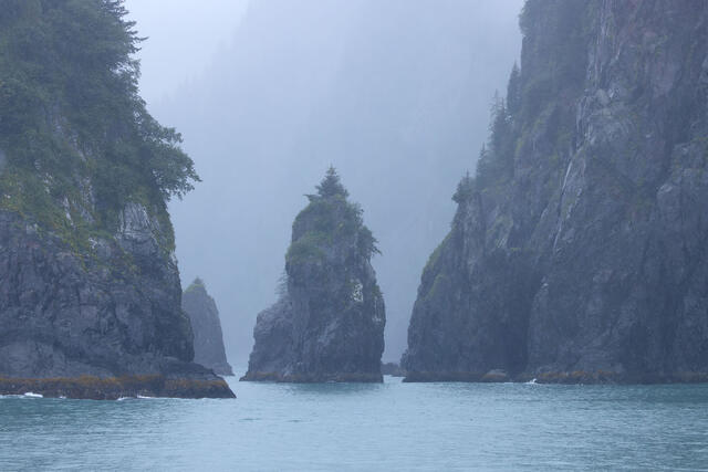 Into the Misty