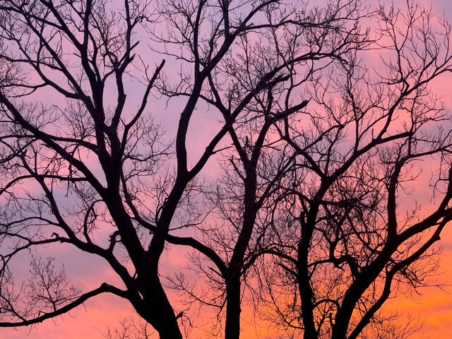 Kansas Sunset
