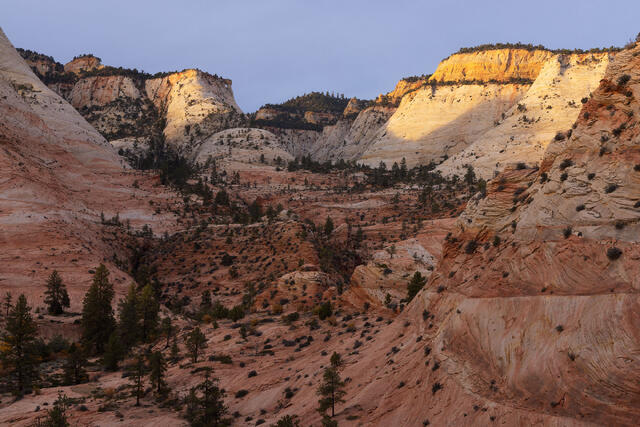 Zion: Grand Scenics