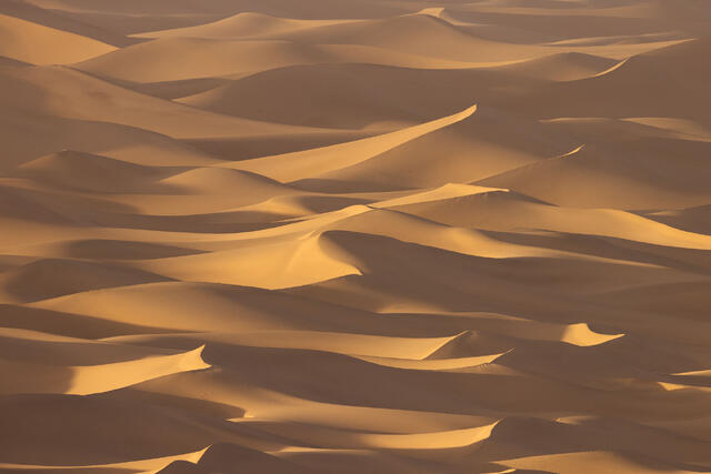 Last Dune Light