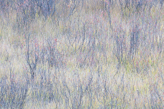 Layers of Layers