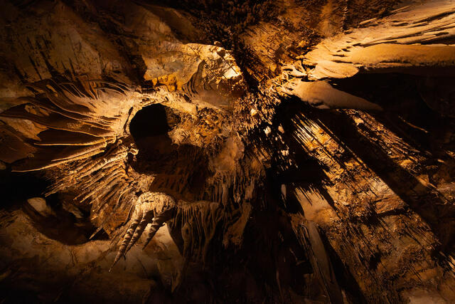 Leaks in the Ceiling