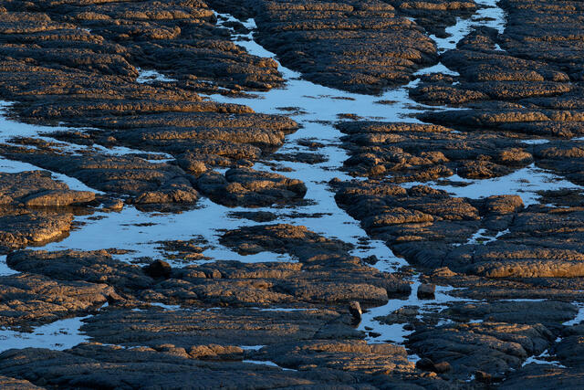 Low Tide Low Light