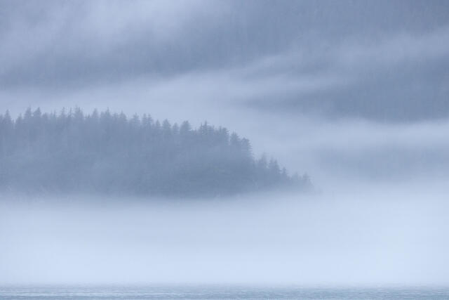 Misty Embrace