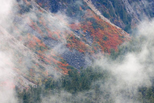 Misty Moments