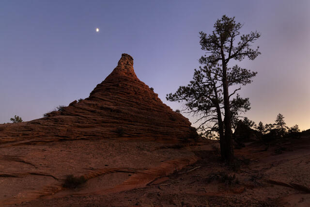 Moonrise