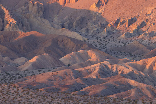 Morning Badlands