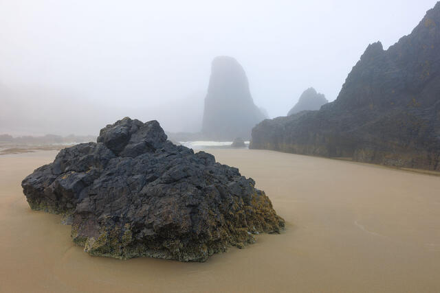 Morning Fog On the Beach