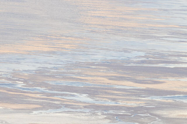 Morning Reflection