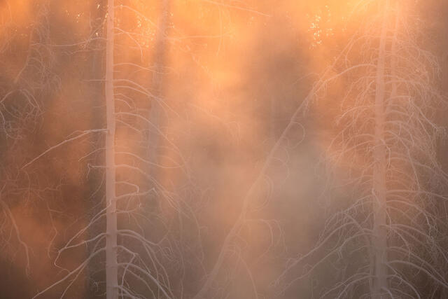 Morning Warmth