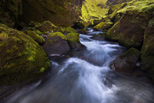Mossy Canyon