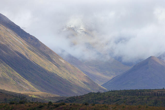 Mountain Light