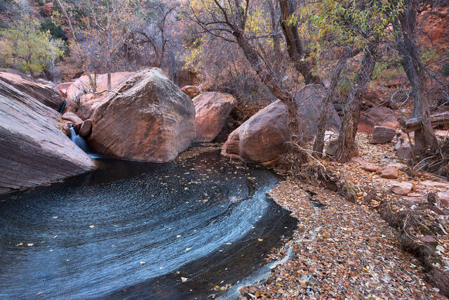 Oasis