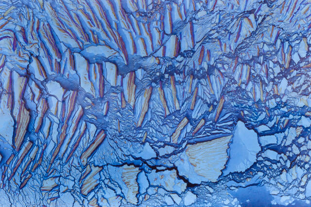 Oil Bumps