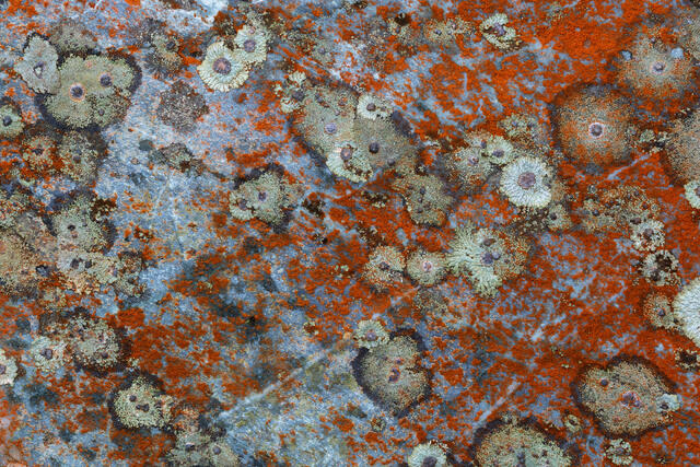Orange Rock Art