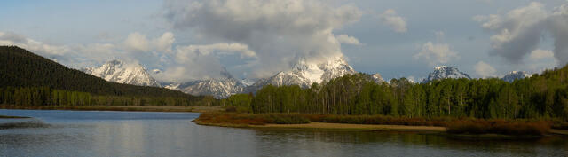 Oxbow Straight