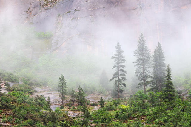 Passing Fog