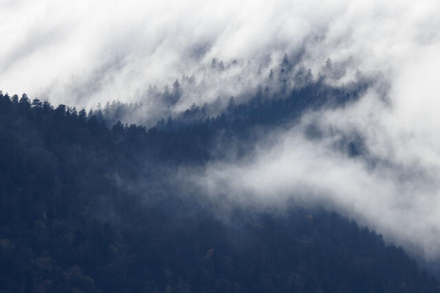 Great Smoky Mountains
