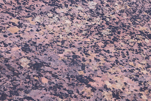 Patterns in Stone