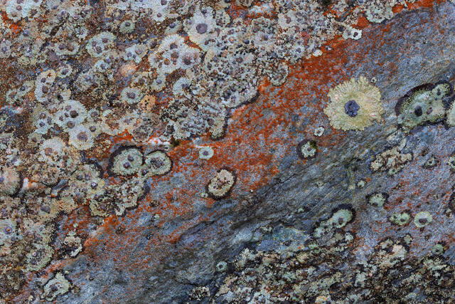 Planetary Rocks