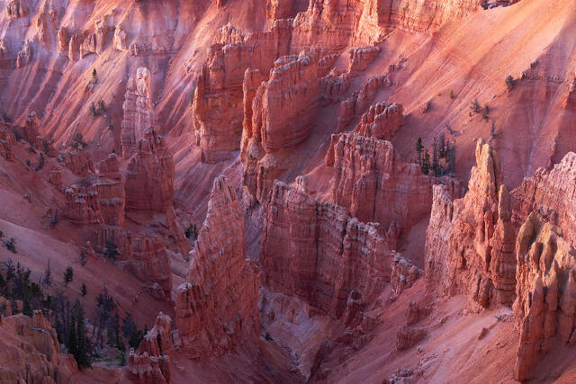 Plateau Pillars
