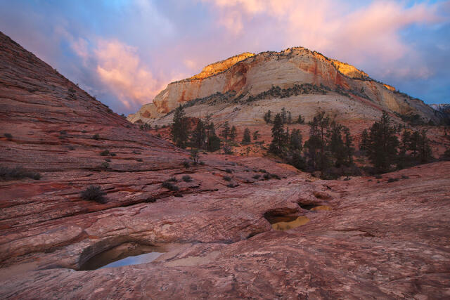 Plateau Pools