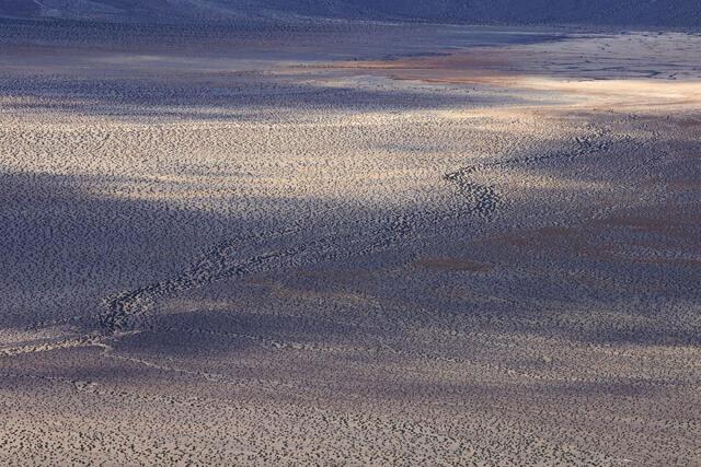 Playa Shadows
