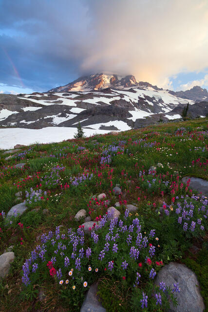 Rainier Medley