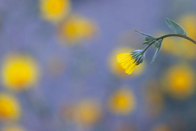 Reaching Out